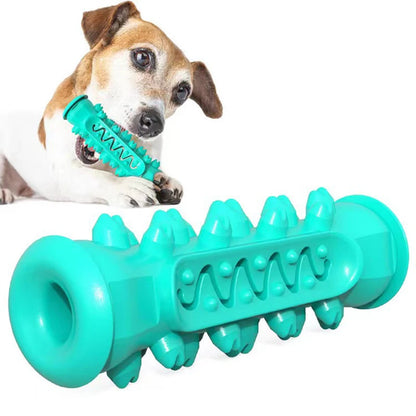 DentalPup Chew Toy