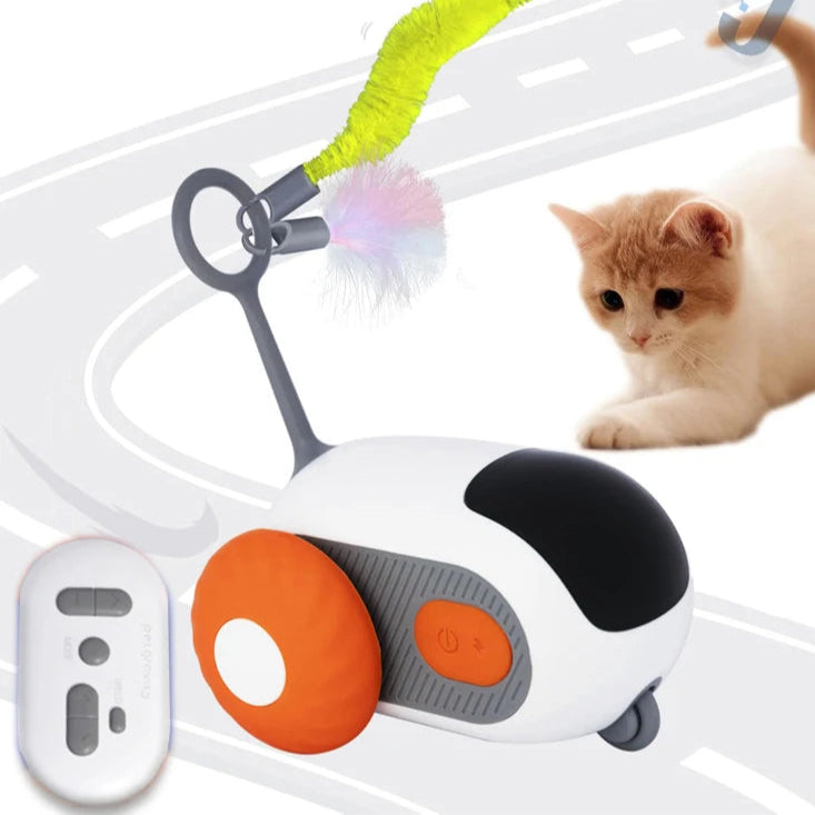 WhiskerWheels Remote Toy