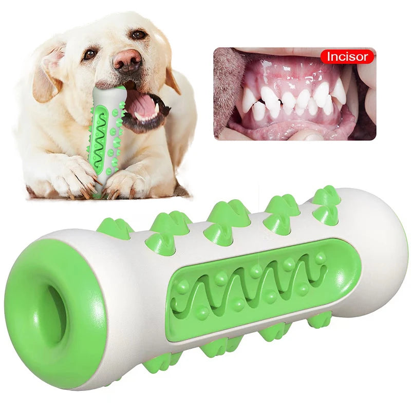 DentalPup Chew Toy