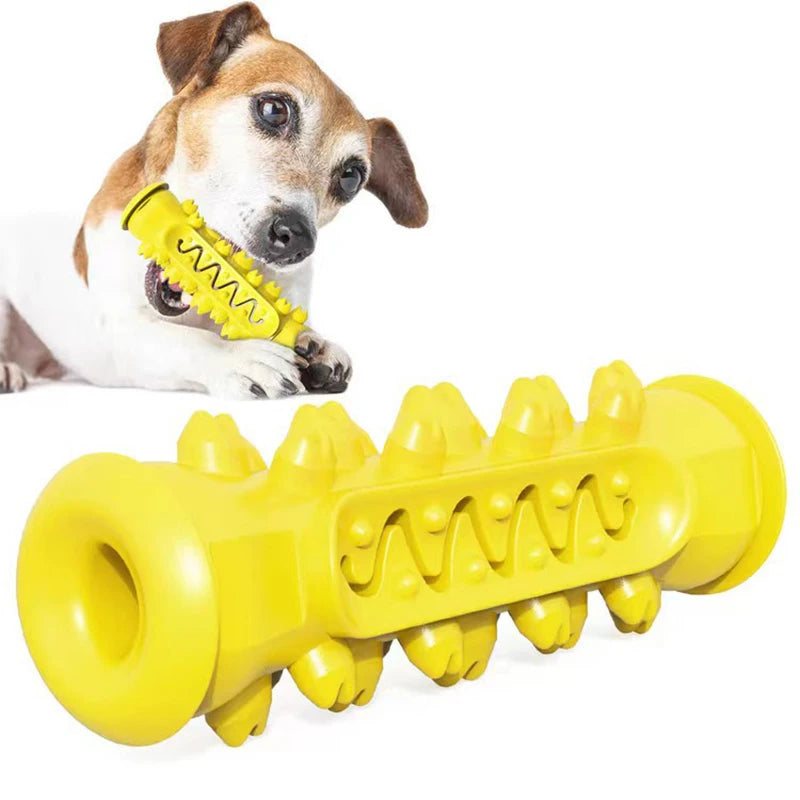 DentalPup Chew Toy