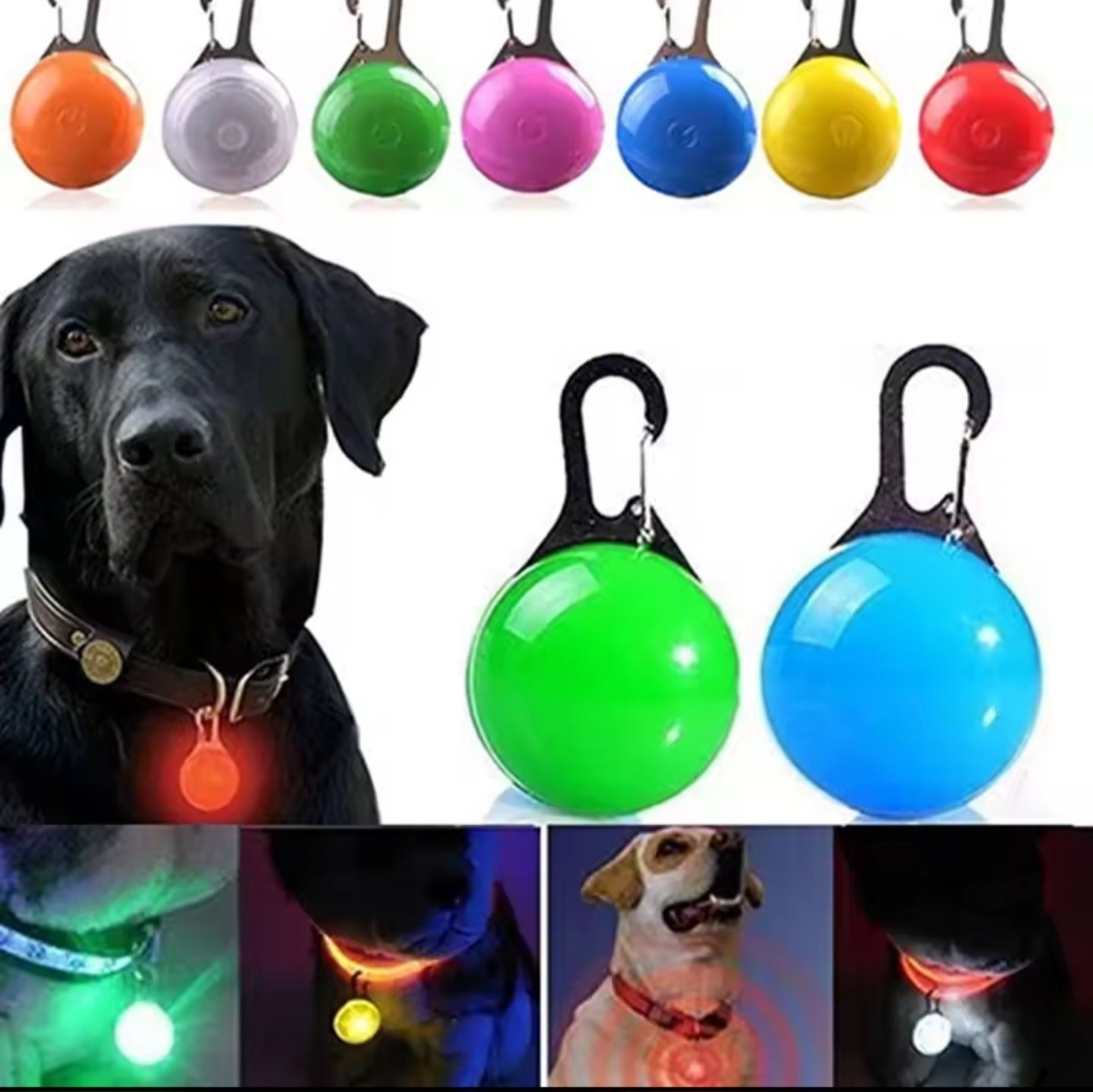 NightBright Pet Collar